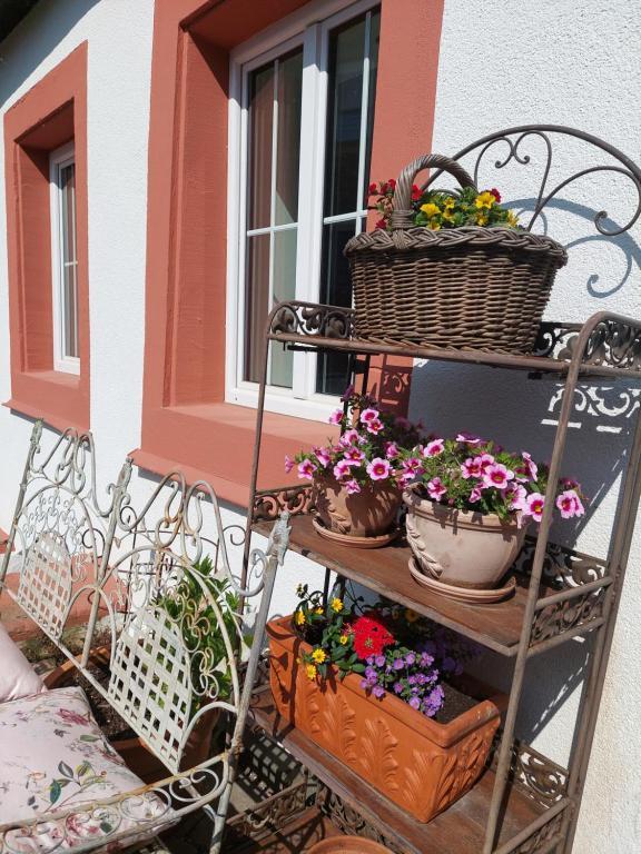 Romantisches Ferienhaus In Moselnaehe Maring-Noviand Exterior foto